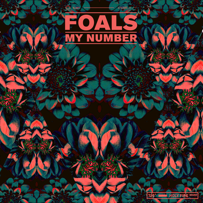 Foals